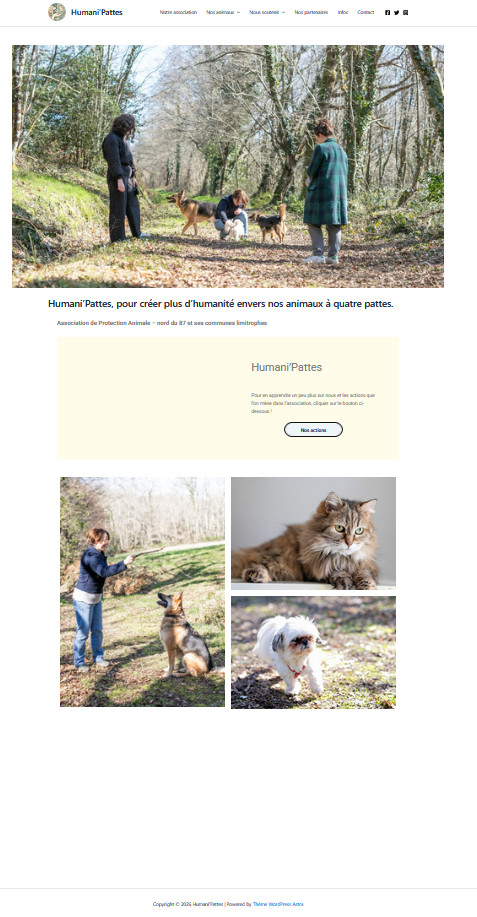 Capture d'écran ancienne page d'accueil