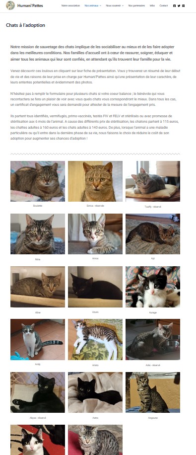 Capture d'écran ancienne page adoption